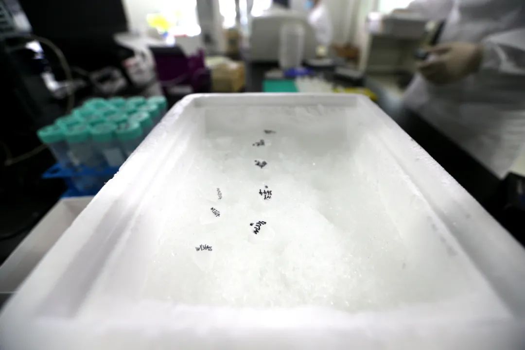 微信图片_20220609155153.jpg