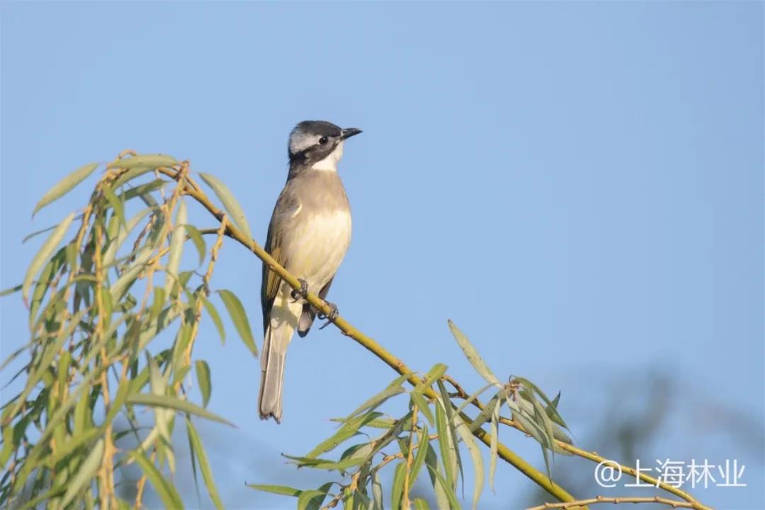 微信图片_20211213145548.jpg 微信图片_20211213145548.jpg