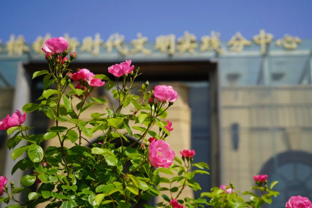 正文图片