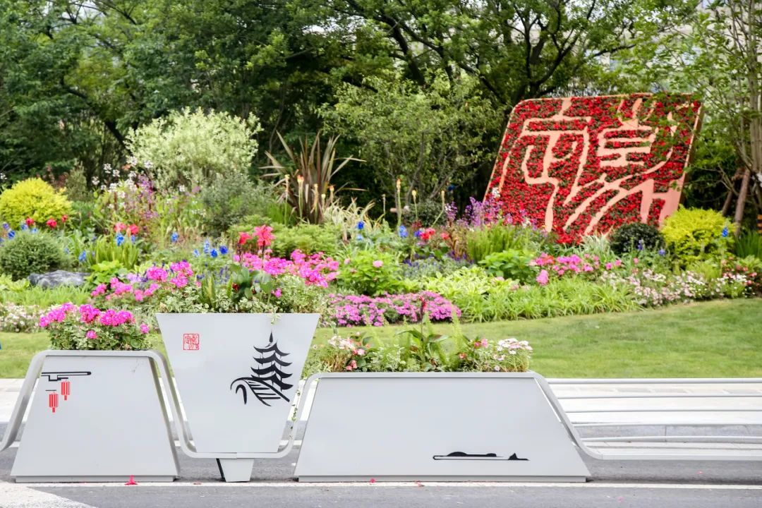 正文图片