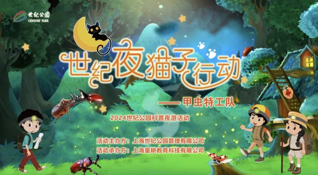正文图片