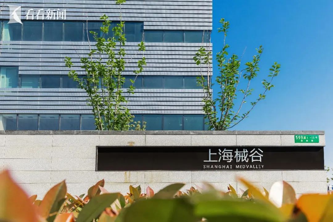 正文图片