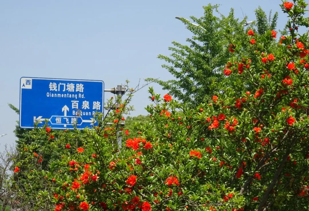 正文图片