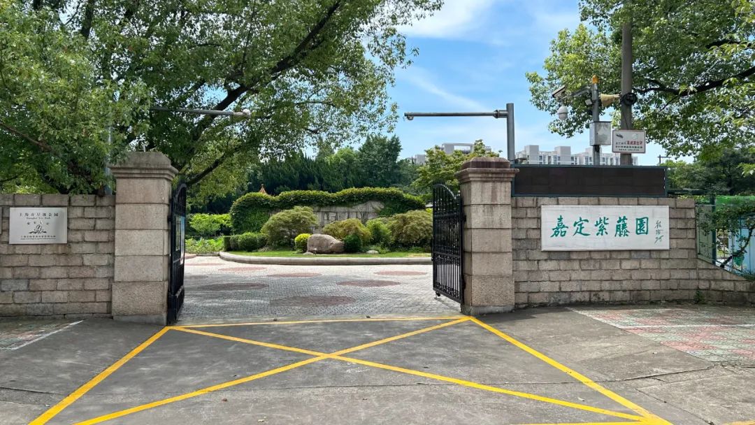 正文图片
