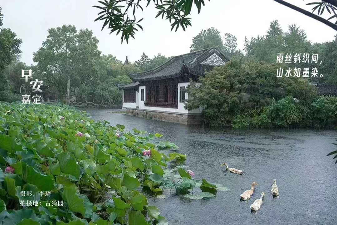 正文图片