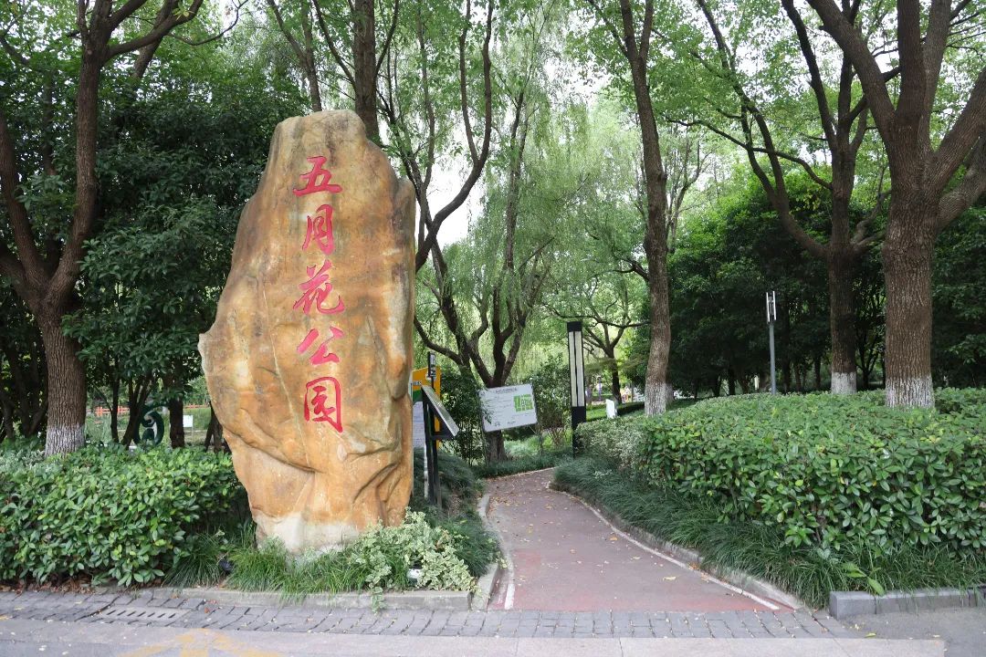 正文图片