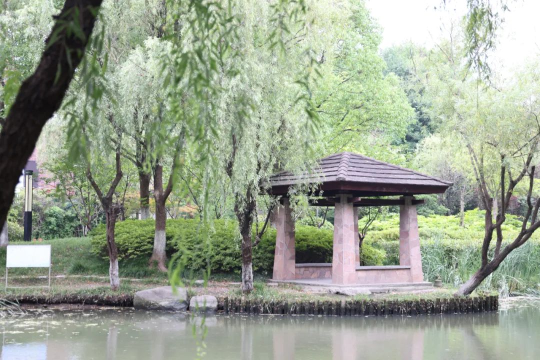 正文图片