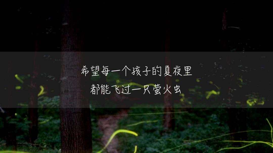 正文图片