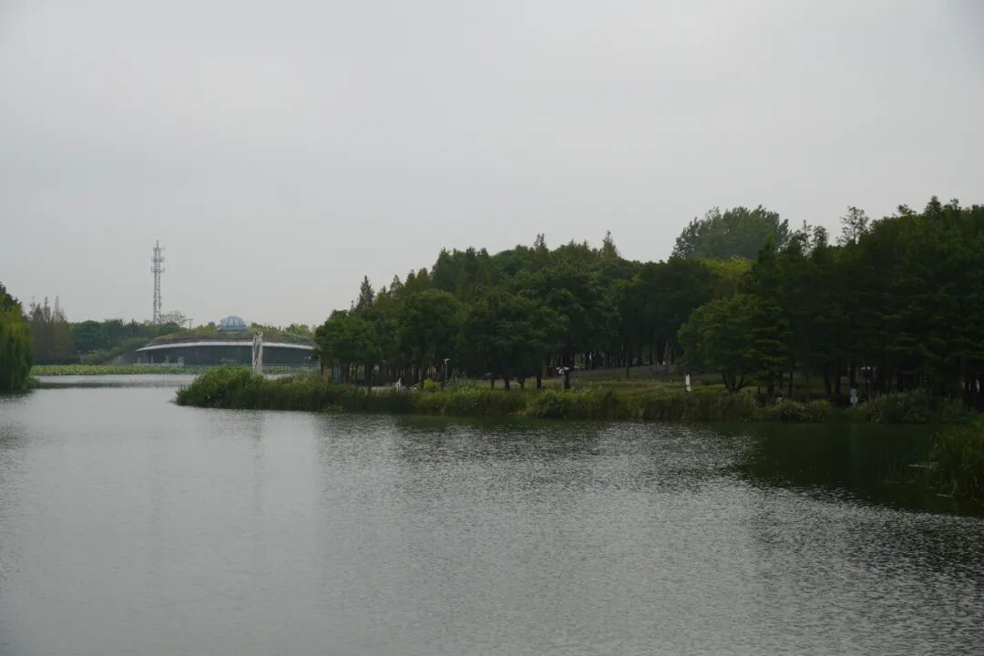 正文图片