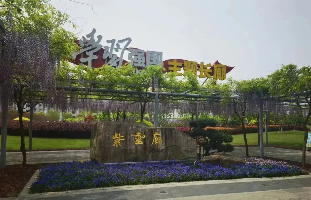 正文图片