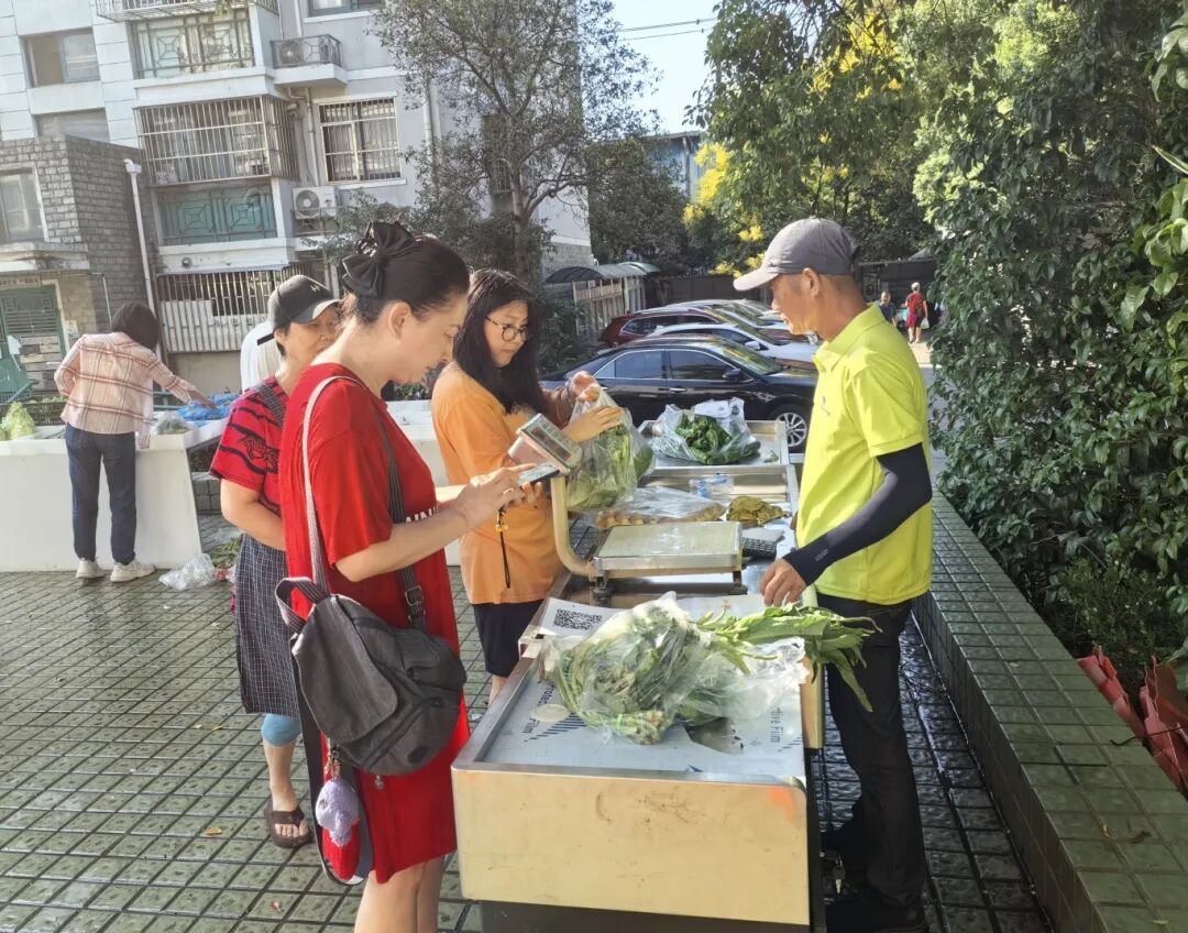 拎稳菜篮子3.jpg