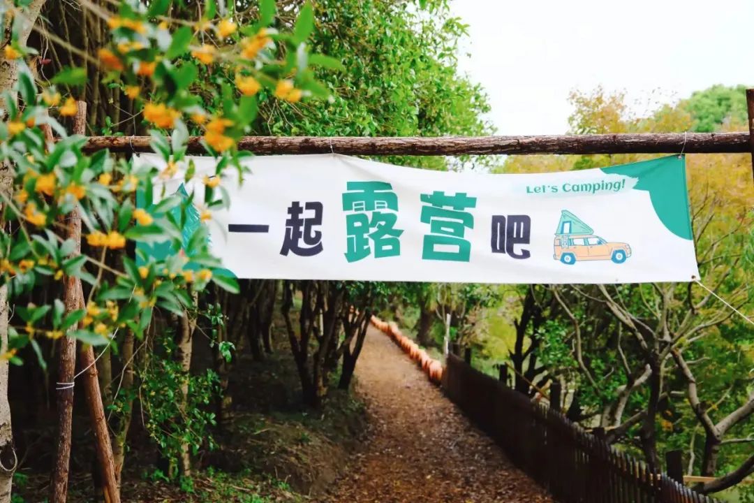正文图片