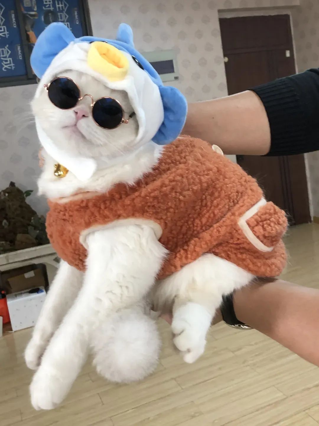 正文图片