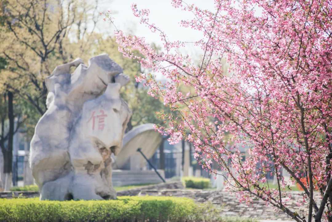 正文图片