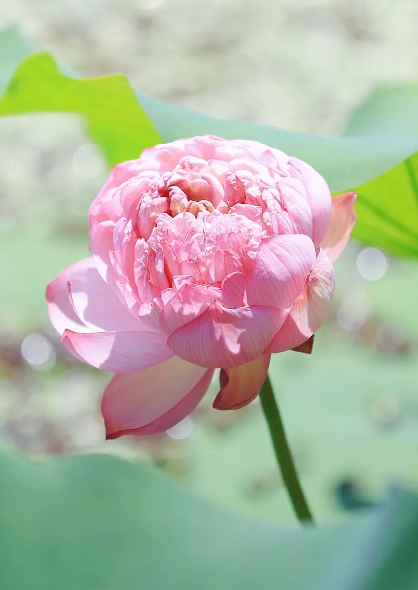 AB3I9576_副本.jpg
