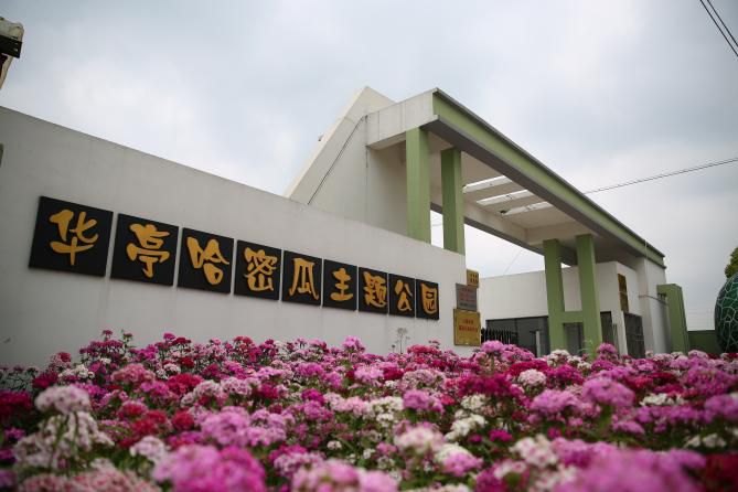正文图片