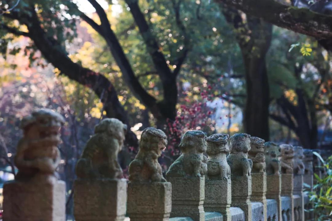 微信图片_20201226165426.jpg