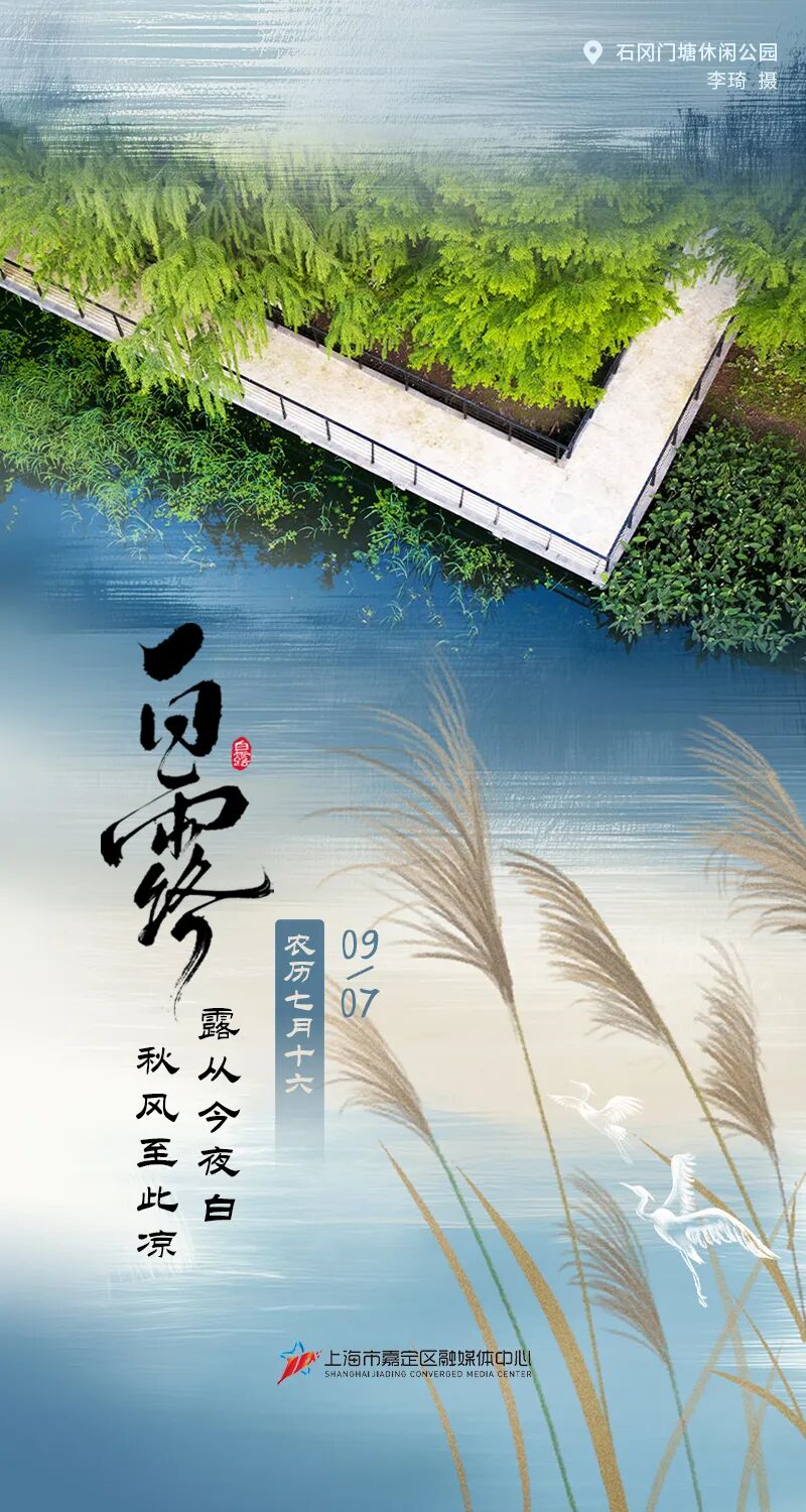 正文图片
