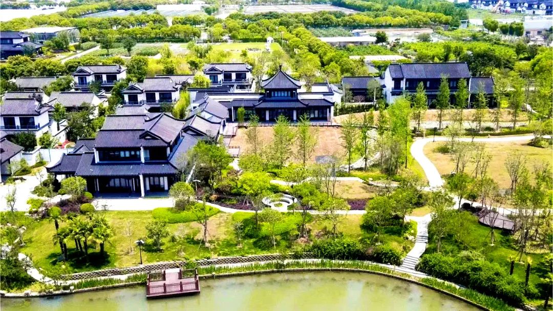正文图片