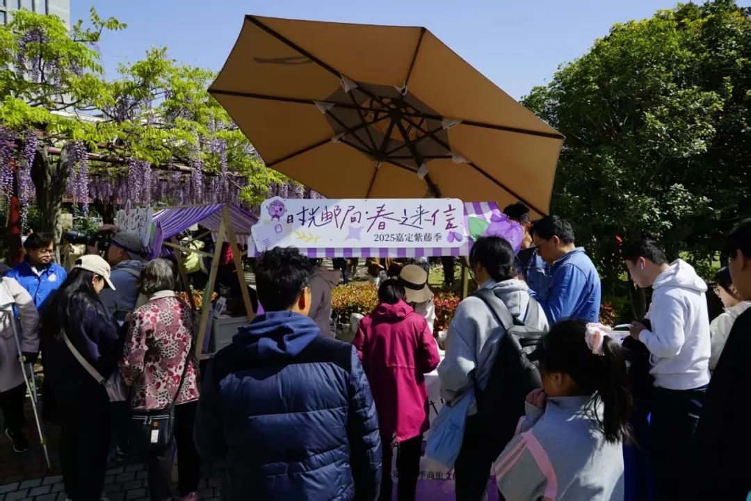 正文图片