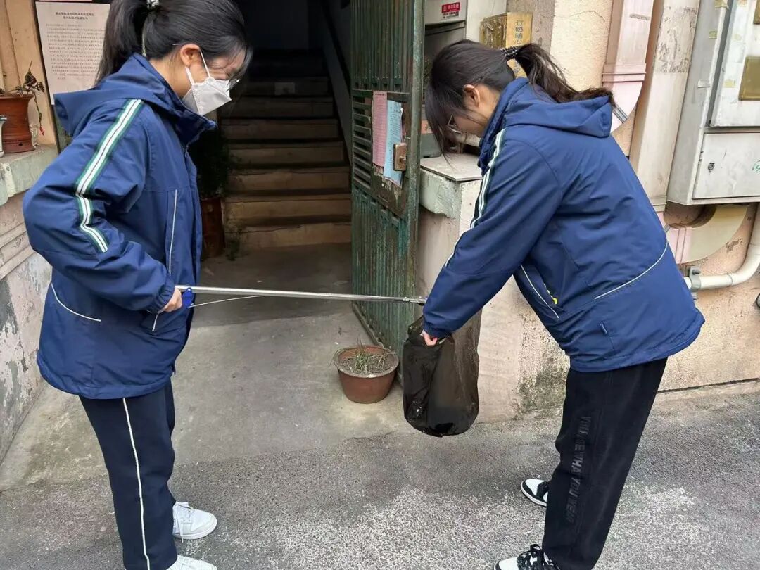正文图片