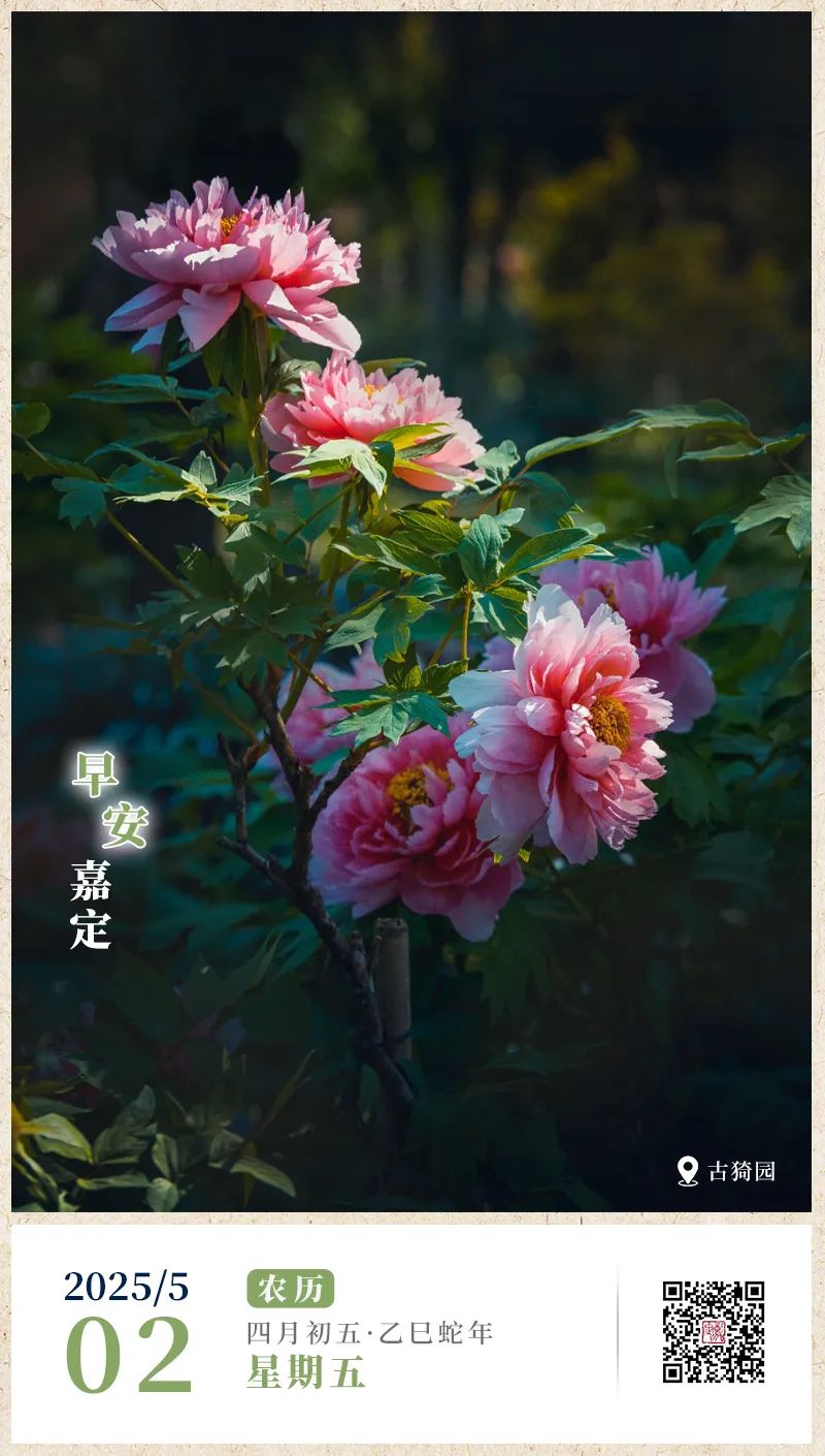 正文图片
