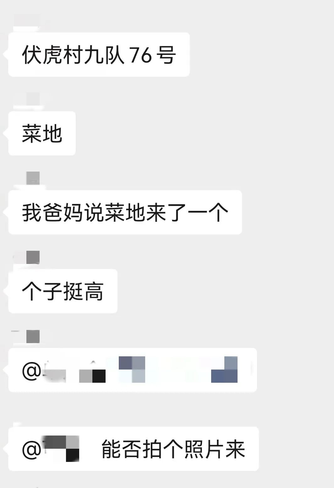 正文图片