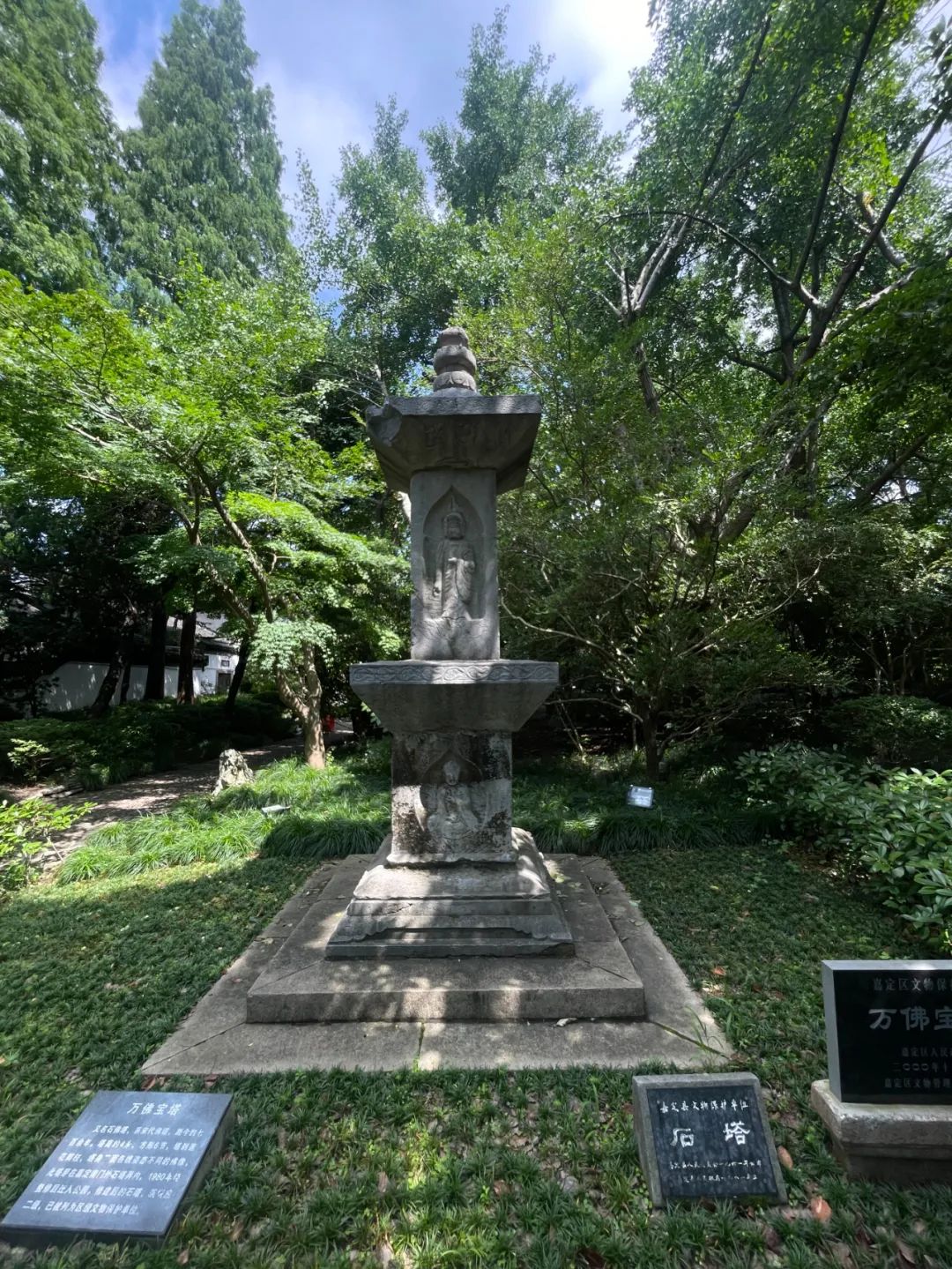 正文图片