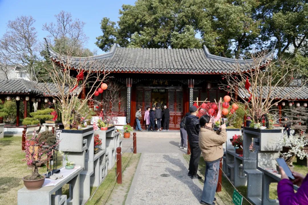 正文图片