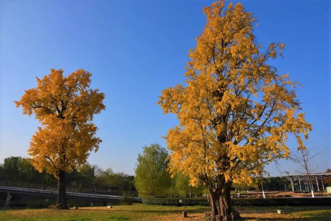 微信图片_20201213203729.jpg