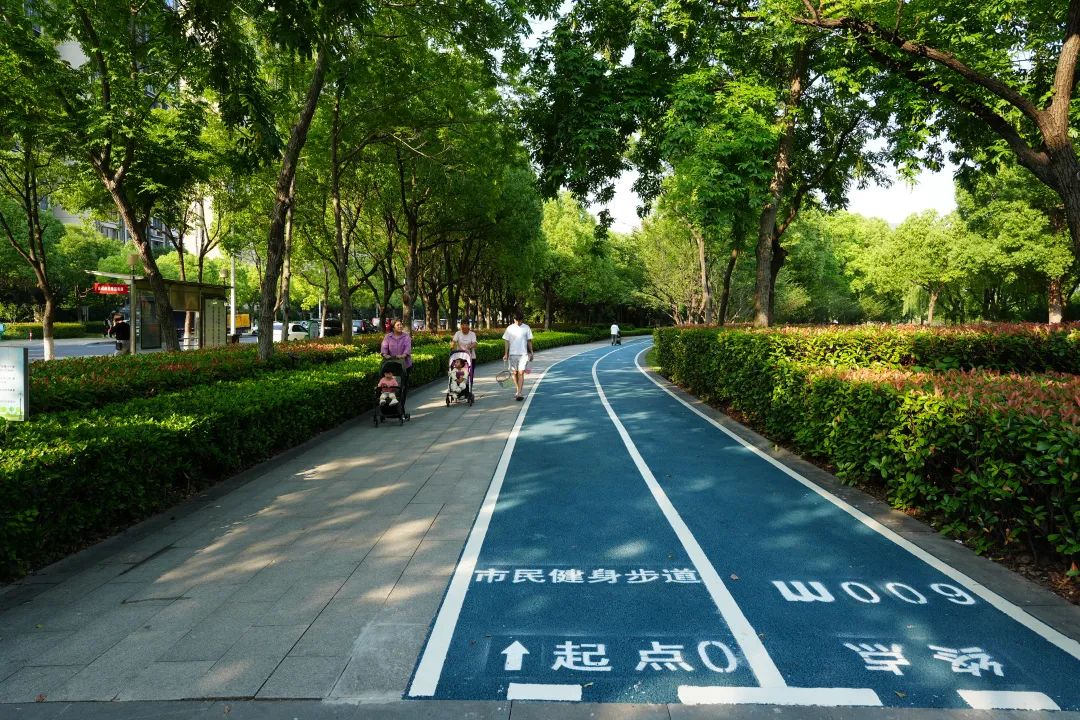 正文图片