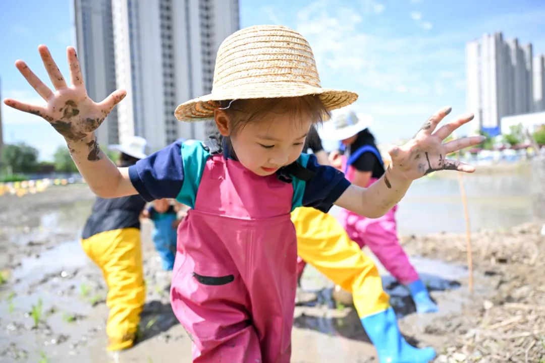 正文图片