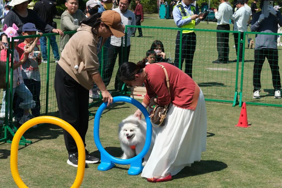 正文图片