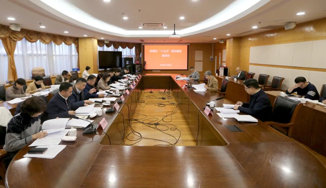 区领导主持召开座谈会，合力谋划嘉定未来发展蓝图