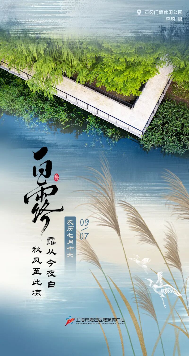 正文图片