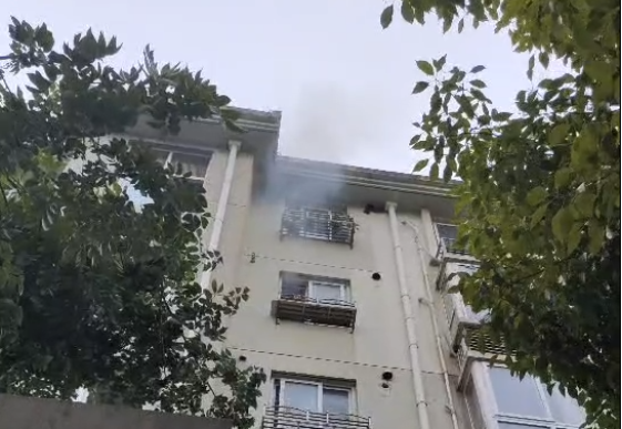 正文图片