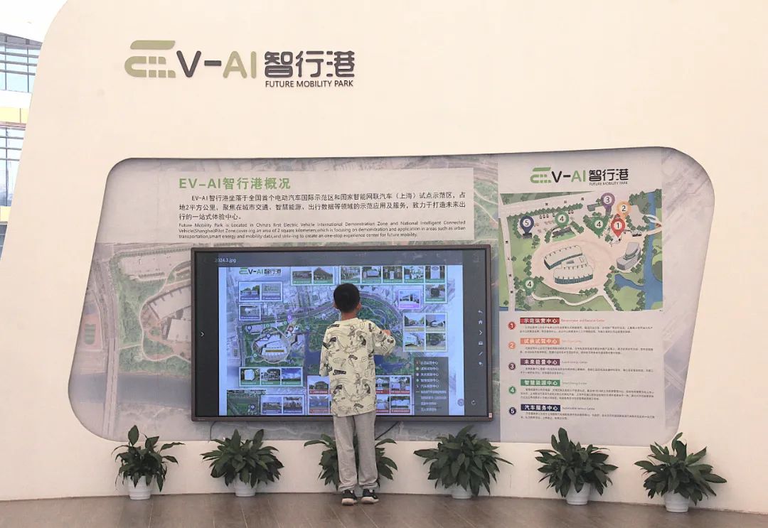 正文图片