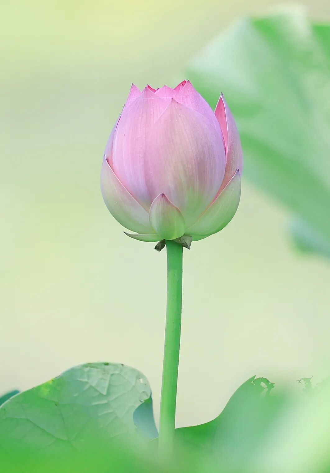 AB3I9509_副本.jpg