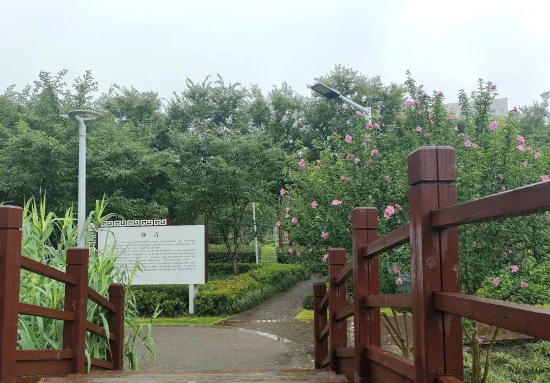 正文图片