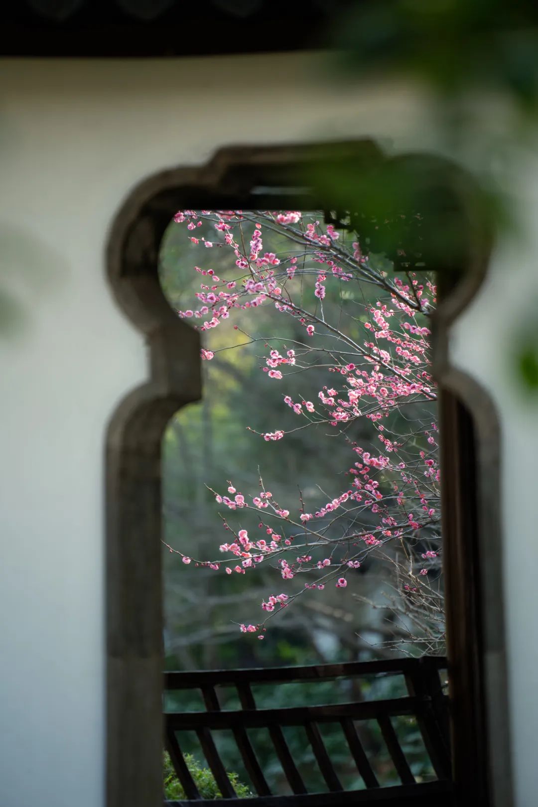 正文图片