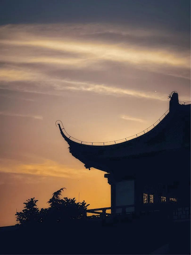 正文图片