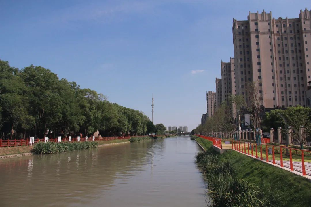 正文图片