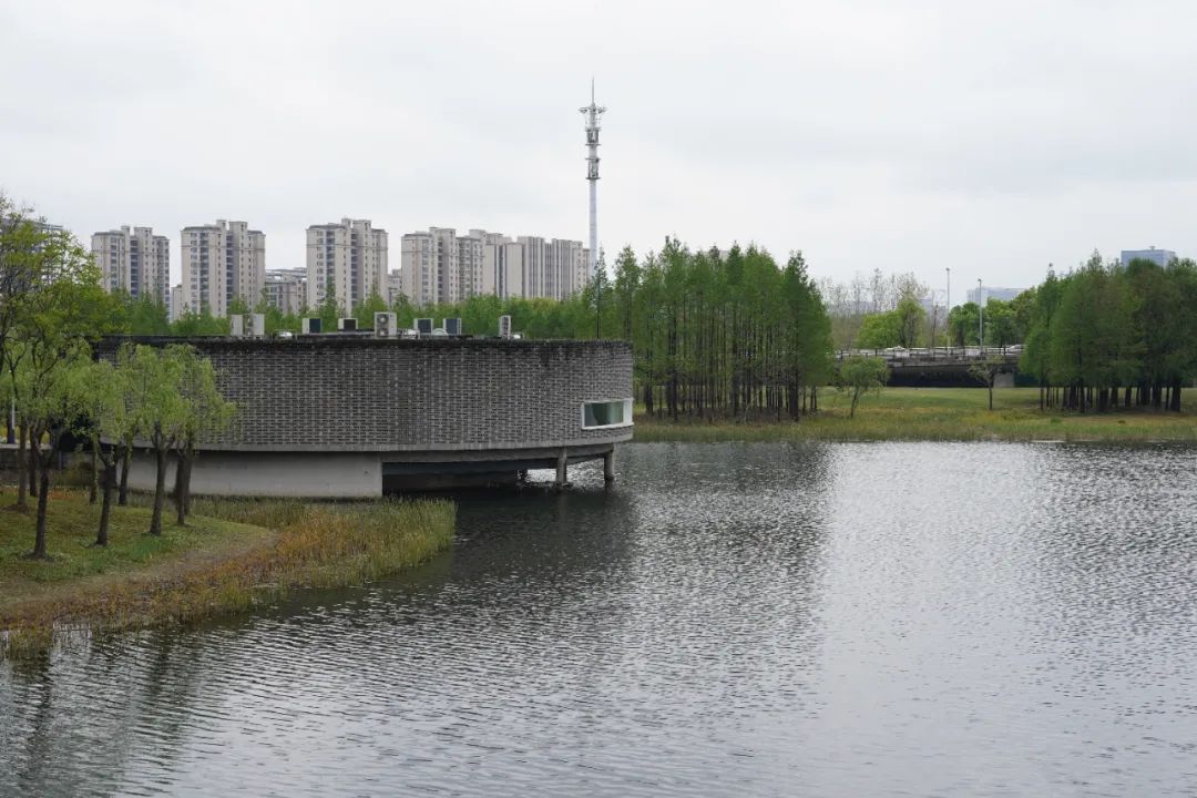 正文图片