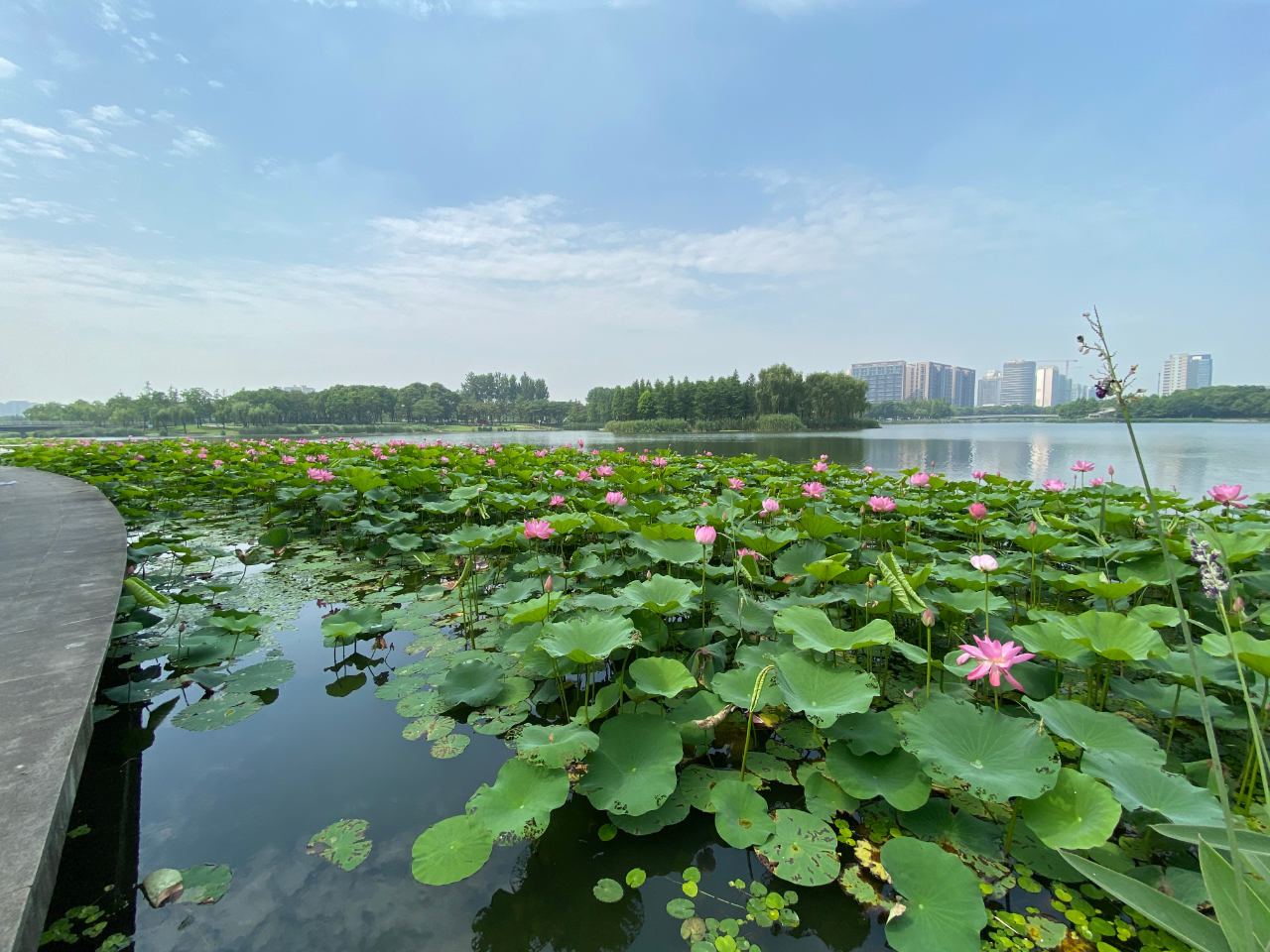 bf2a89af507d4c85abaad824af7ebc22.jpg bf2a89af507d4c85abaad824af7ebc22.jpg