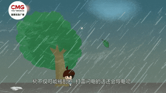 正文图片