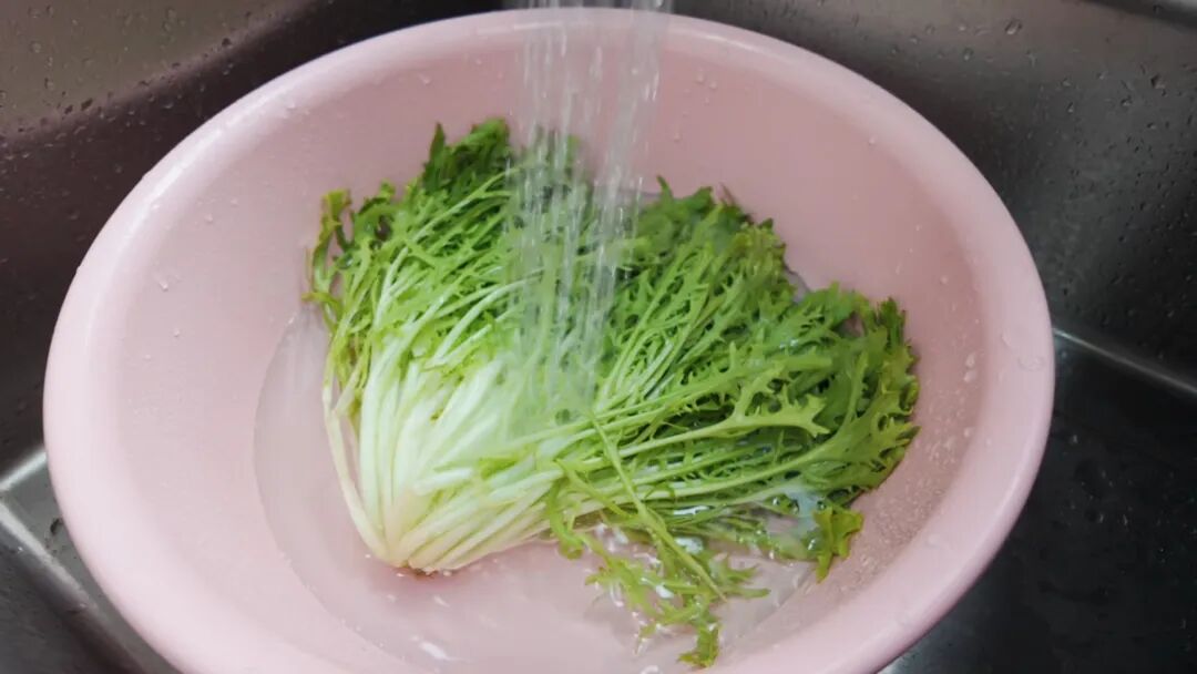 正文图片