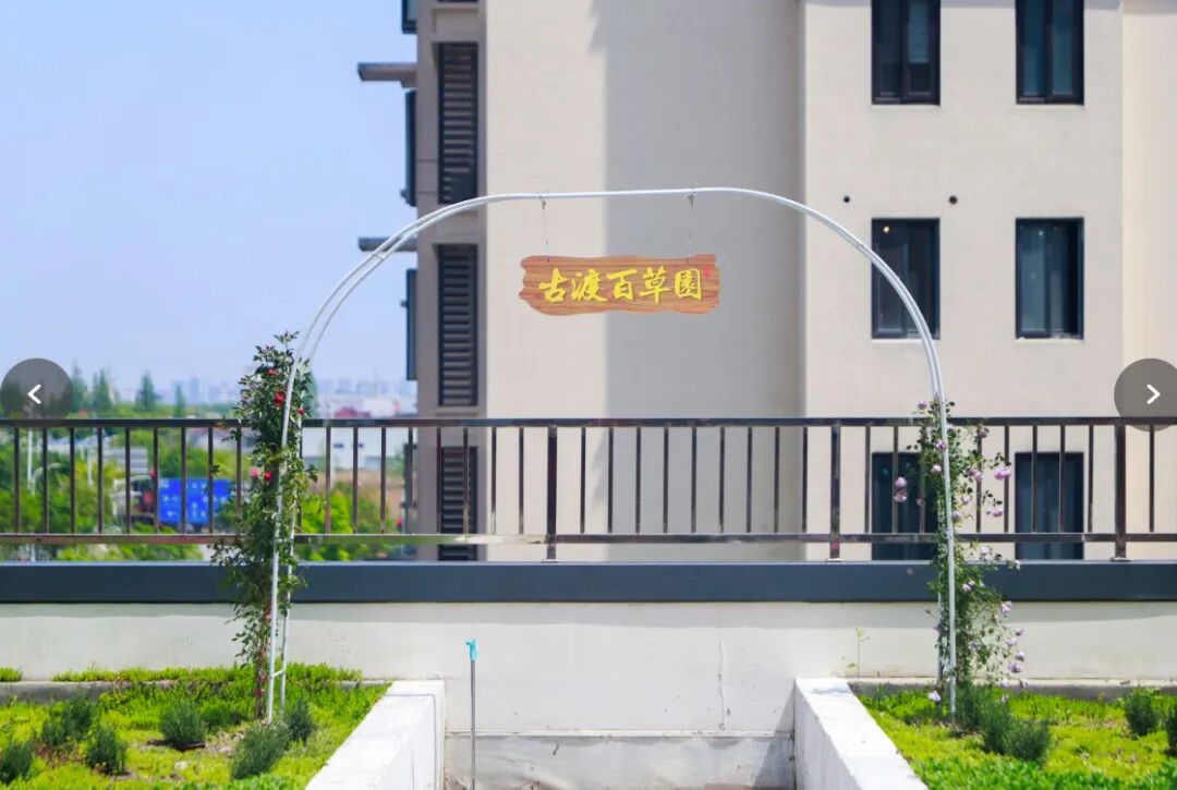 正文图片