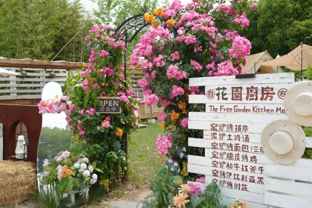 正文图片
