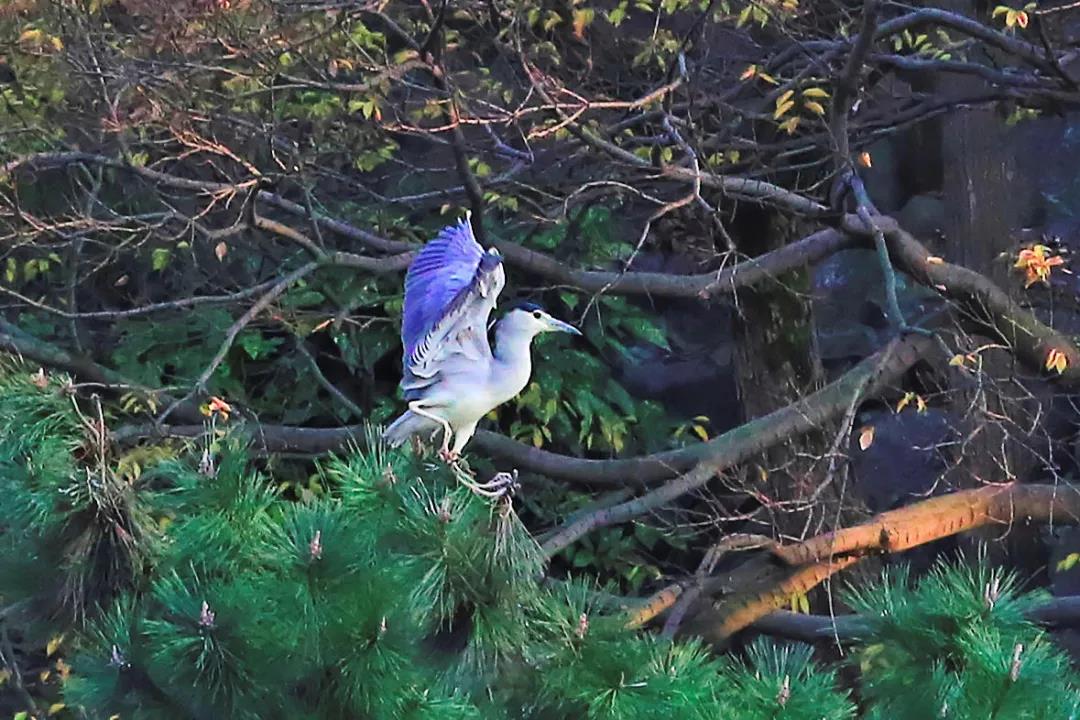微信图片_20201226165434.jpg