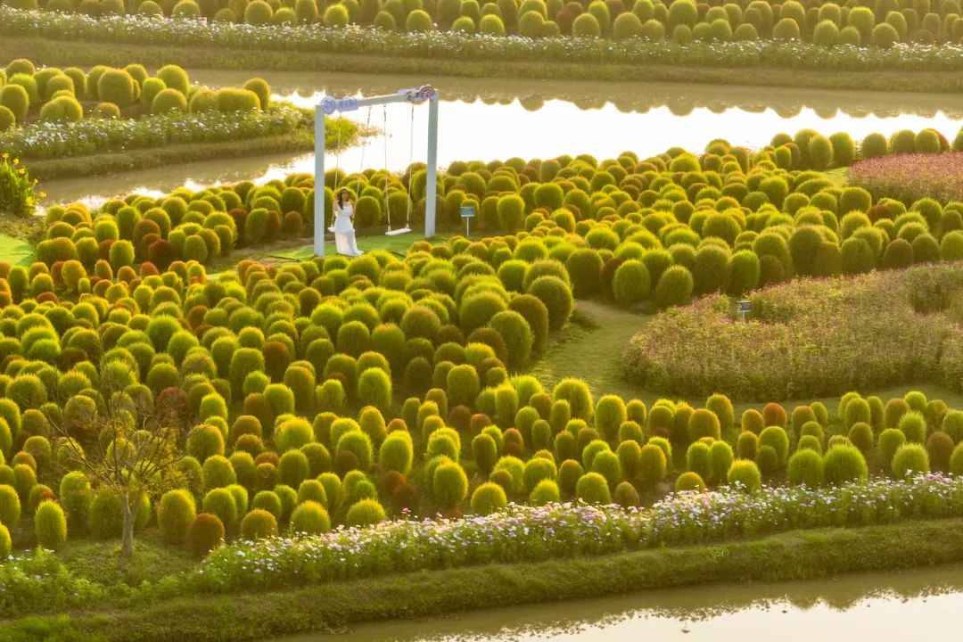 正文图片